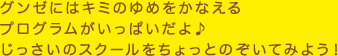 グンゼにはキミのゆめをかなえるプログラムがいっぱいだよ♪じっさいのスクールをちょっとのぞいてみよう！